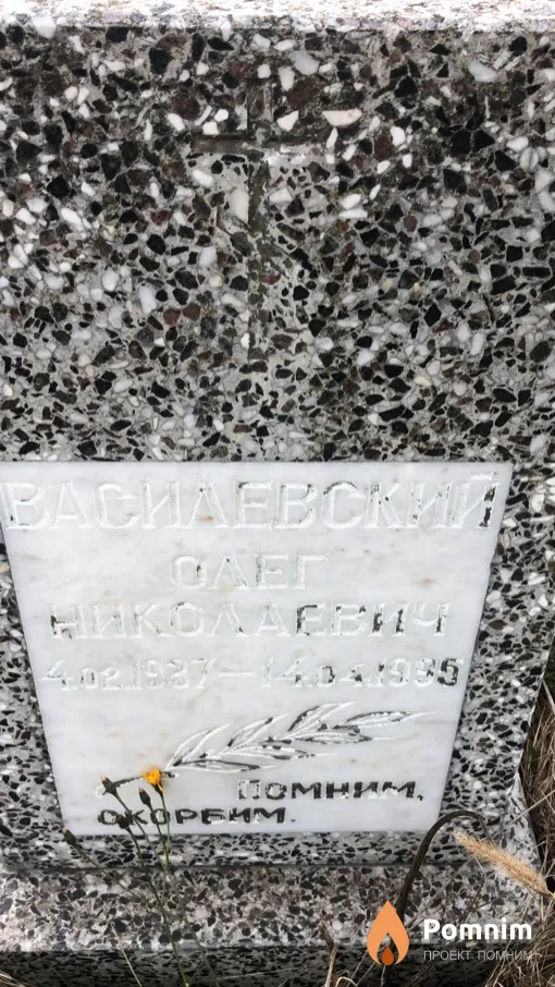 Василевский Олег Николаевич