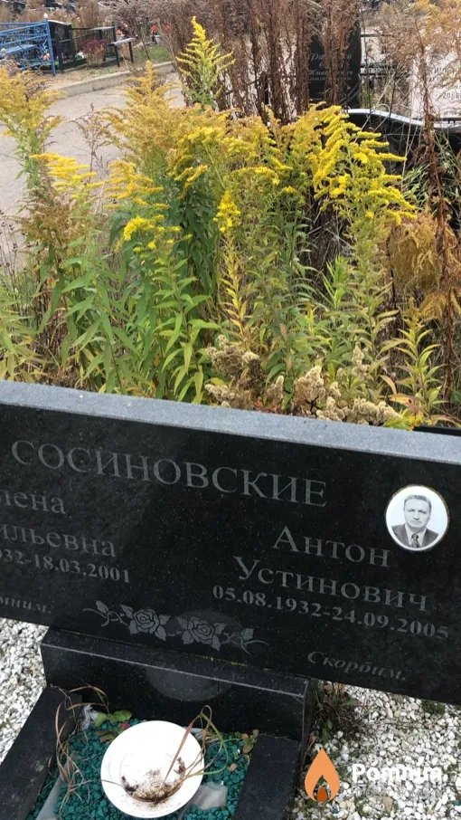 Сосиновский Антон Устинович