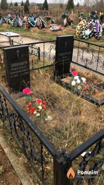 Зинович Александр Тимофеевич