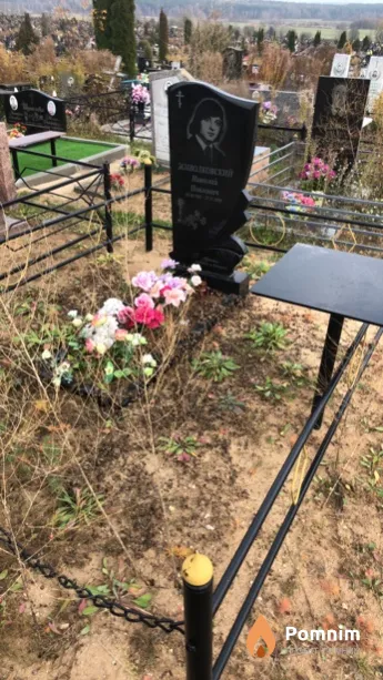 Живолковский Николай Павлович