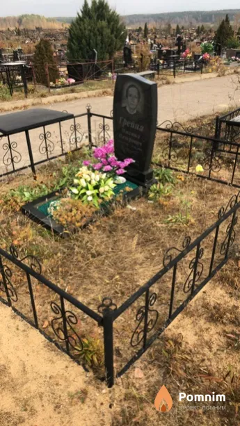 Грейня Mихаил Петрович