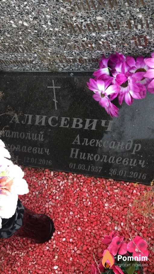 Алисевич Александр Николаевич