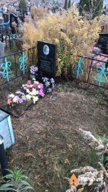 Минаковский Владимир Юльянович