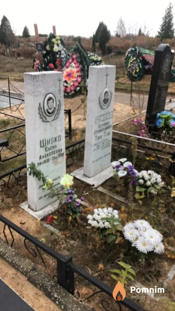 Шибко Елена Алексеевна