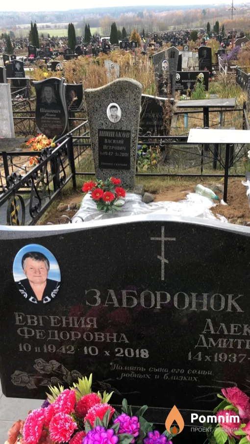 Заборонок Евгения Федоровна