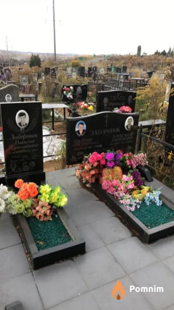 Заборонок Дмитрий Александрович
