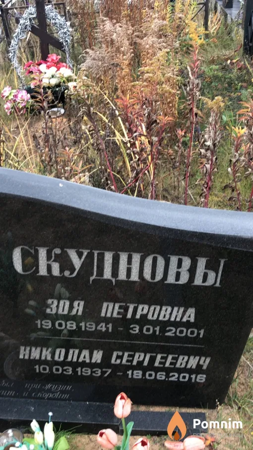 Скуднов Николай Сергеевич