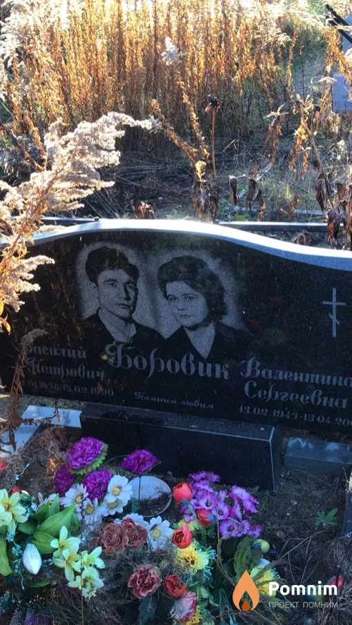Боровик Василий Петрович