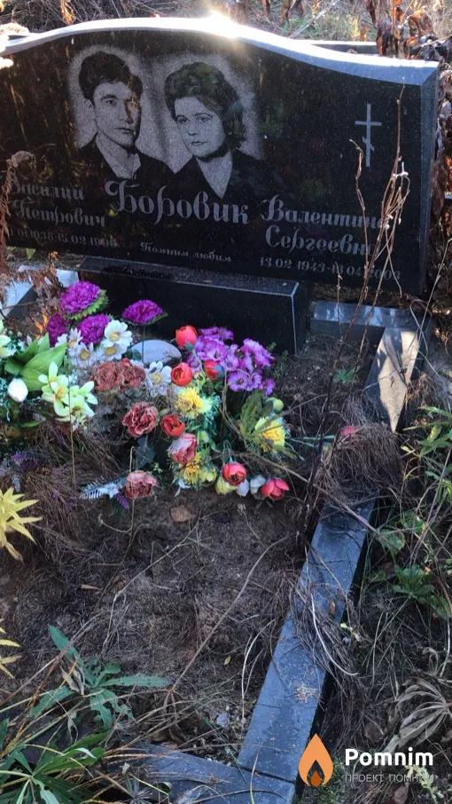 Боровик Валентина Сергеевна