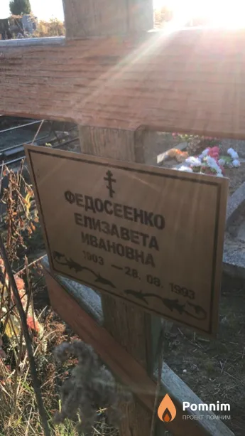 Федосеенко Елизавета Ивановна