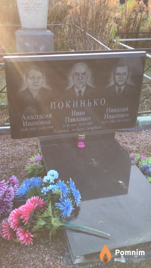 Покинько Николай Иванович