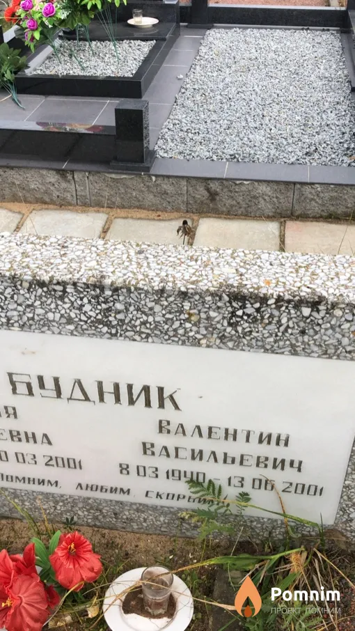 Будник Валентин Васильевич