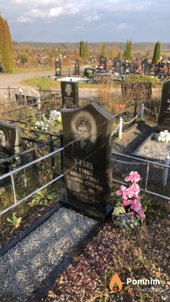 Кулик Валентин Александрович