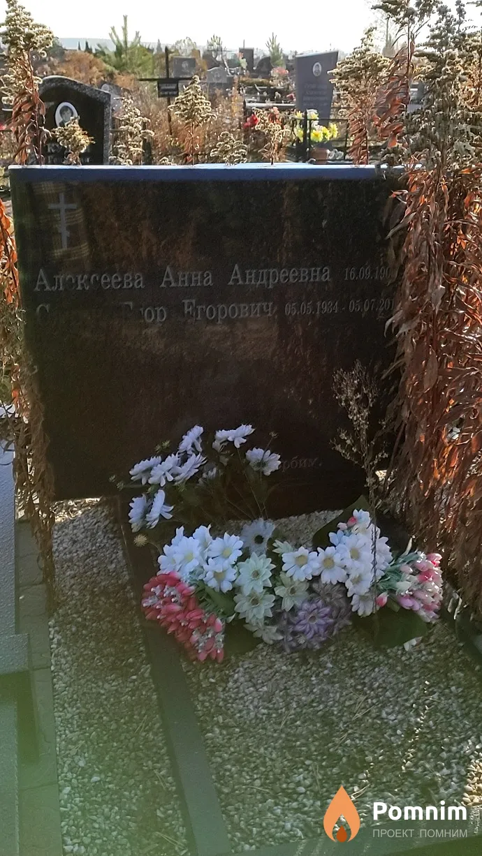 Алексеева Анна Андреевна