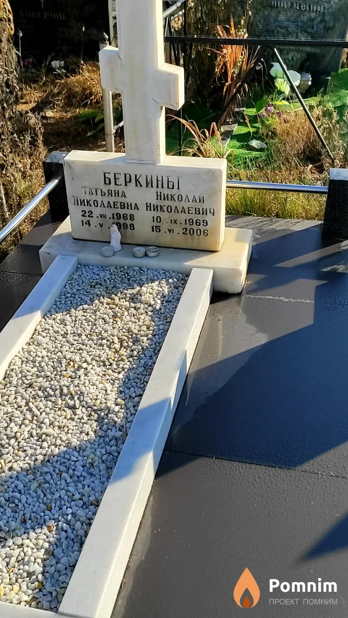 Беркин Николай Николаевич