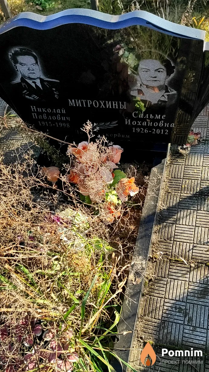 Митрохин Николай Павлович