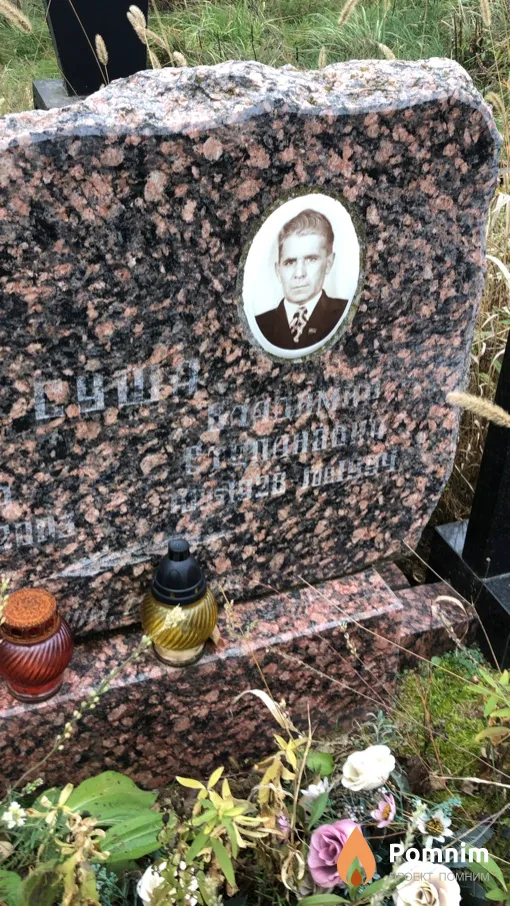 Суша Владимир Степанович
