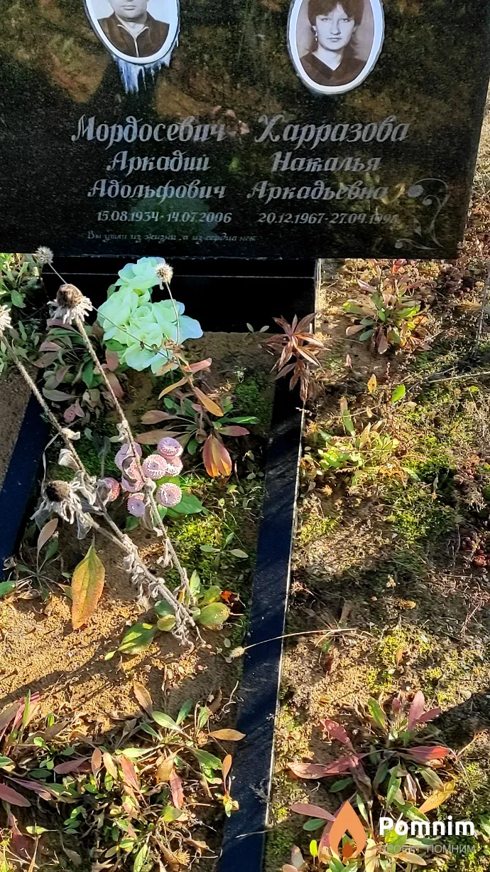 Мордосевич Аркадий Адольфович