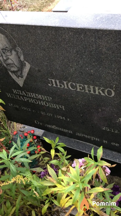 Лысенко Владимир Илларионович