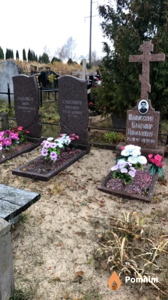 Шамовский Владимир Николаевич