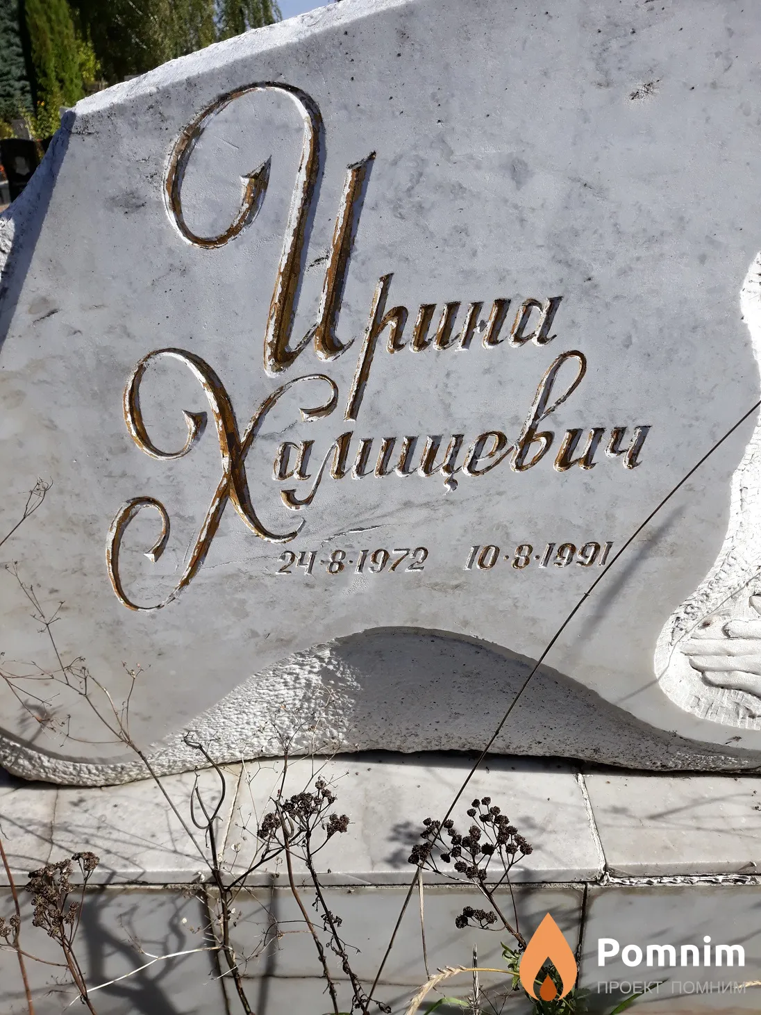 Хамицевич Ирина