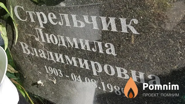 Стрельчик Людмила Владимировна