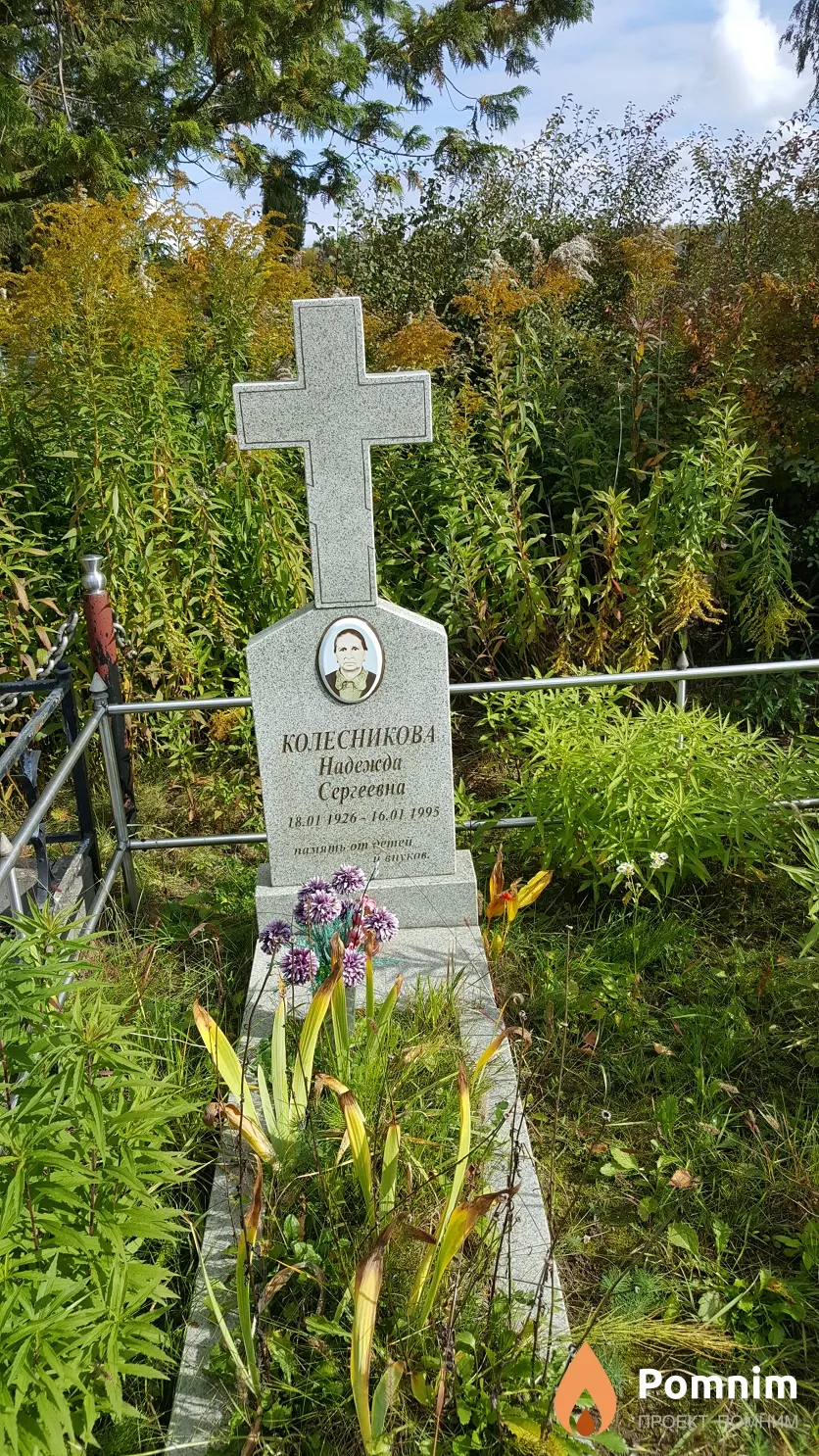 Колесникова Надежда Сергеевна