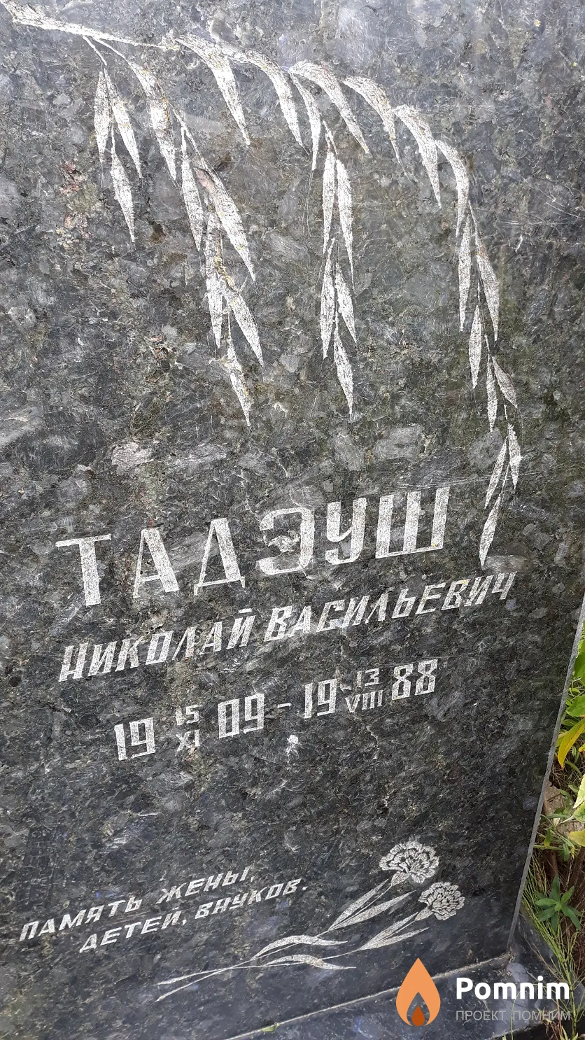 Тадэуш Николай Васильевич