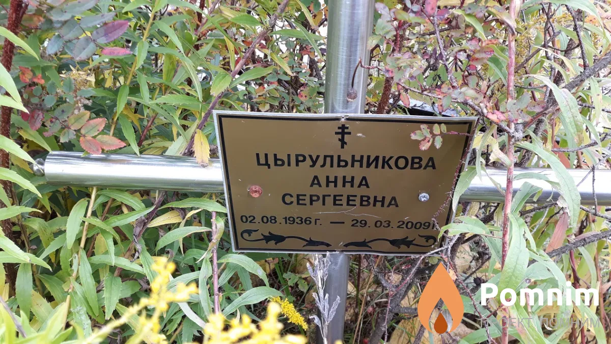 Цырульникова Анна Сергеевна