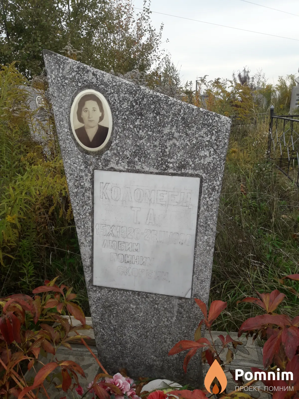 Коломец Т А