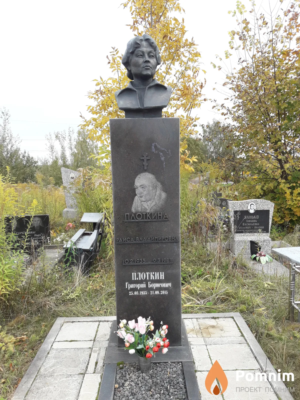 Плоткина Раиса Владимировна