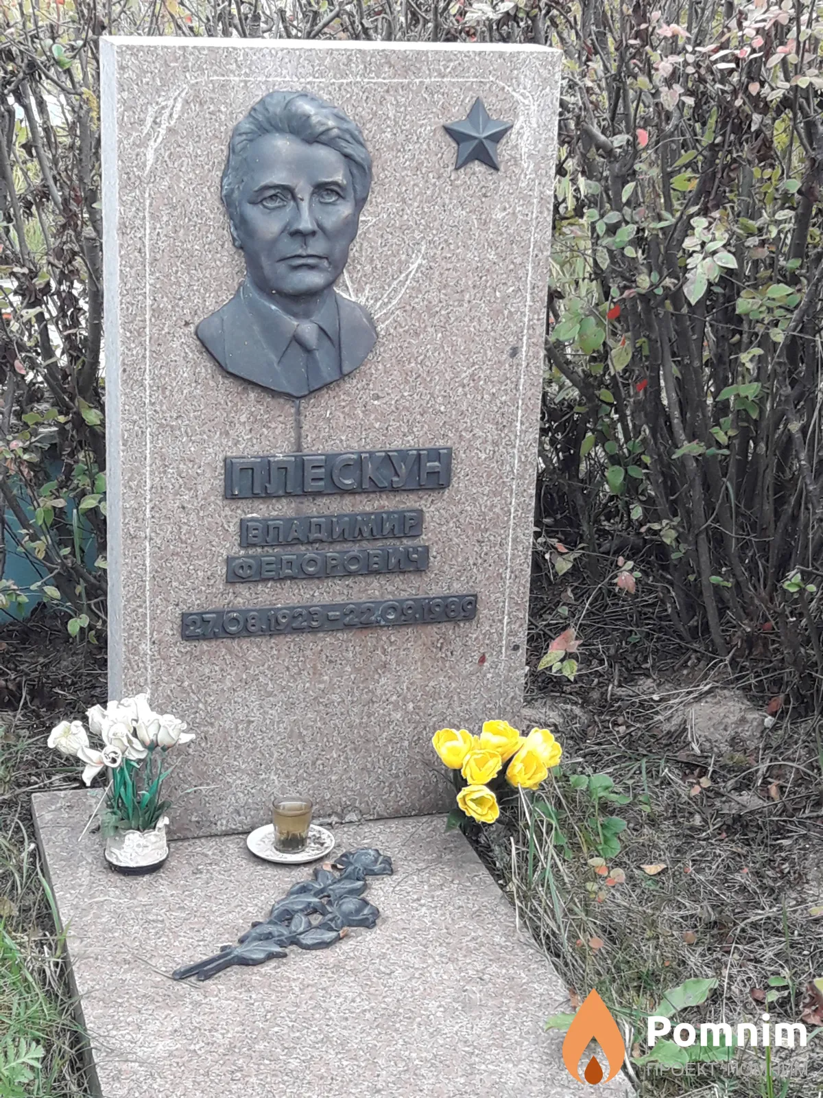 Плескун Владимир Федорович