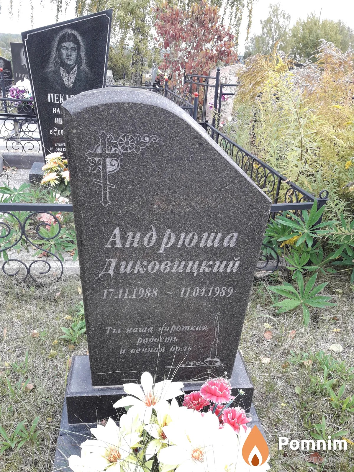 Диковицкий Андрюша