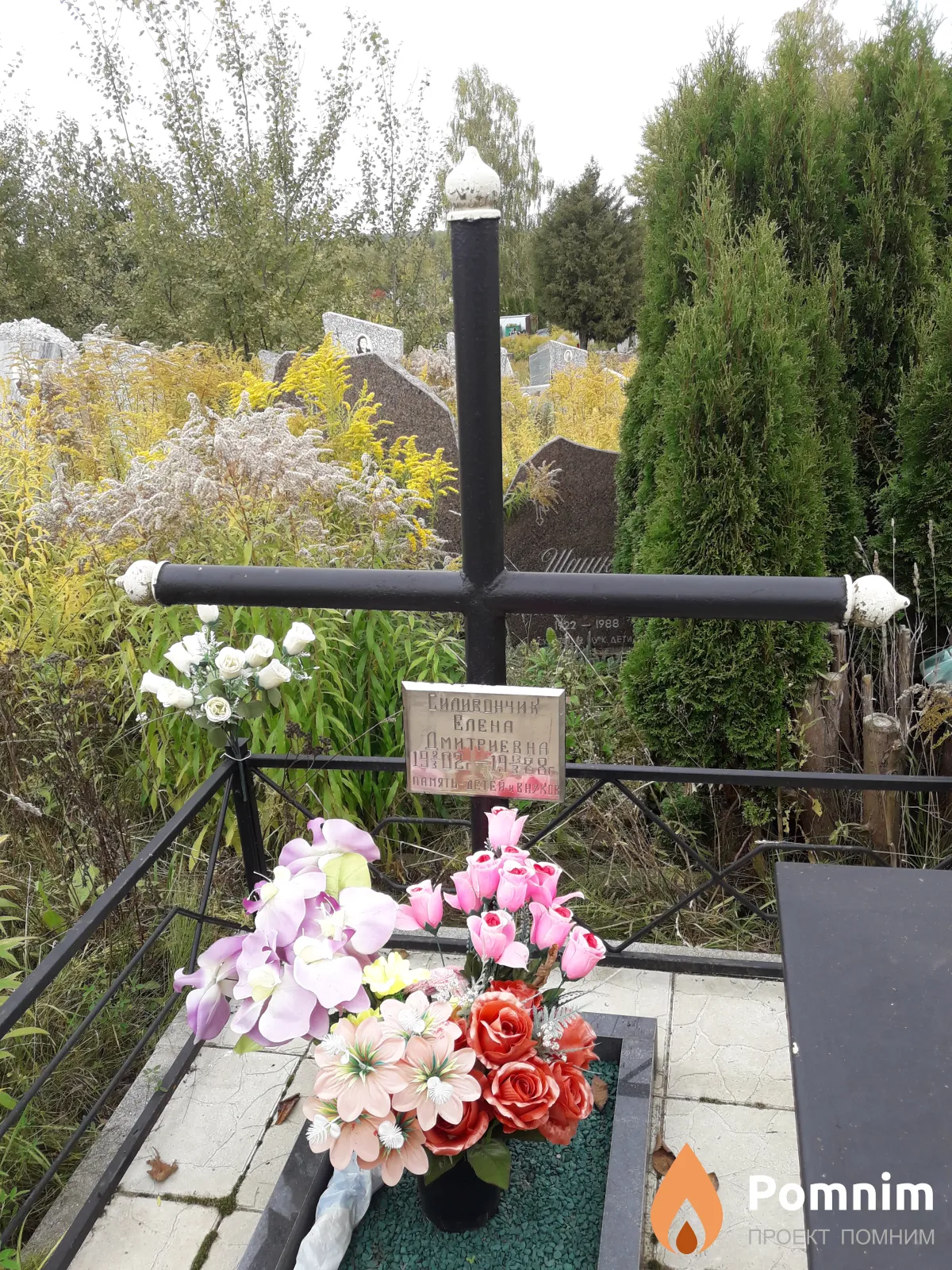 Силивончик Елена Дмитриевна