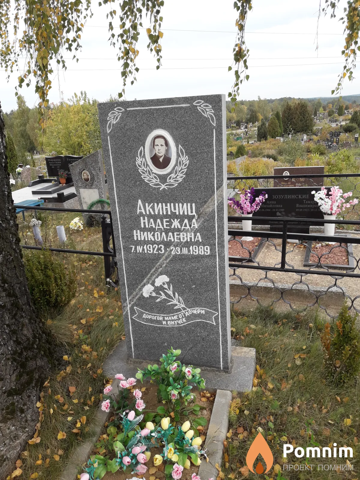 Акинчиц Надежда Николаевна