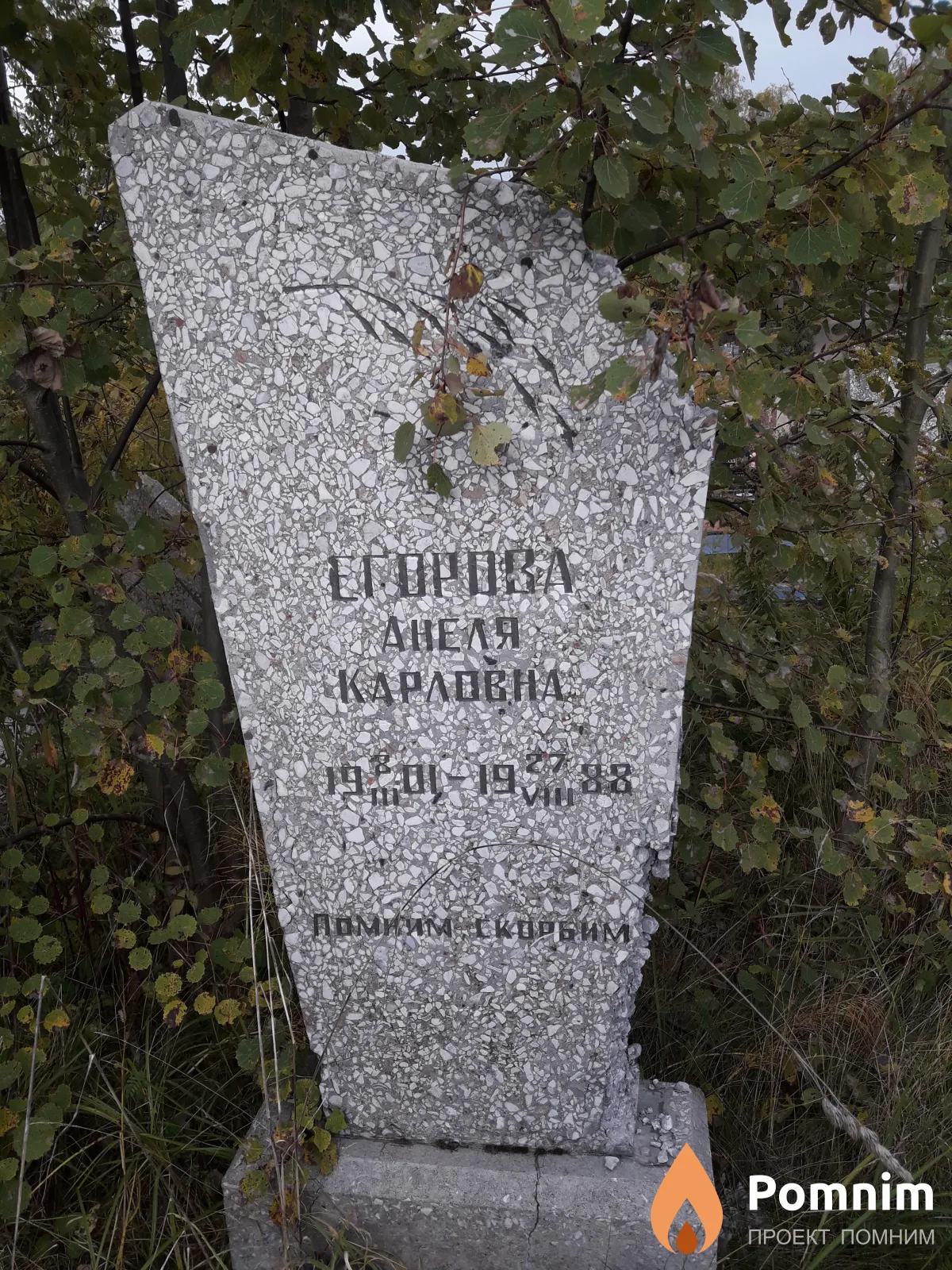 Егорова Амелия Карловна