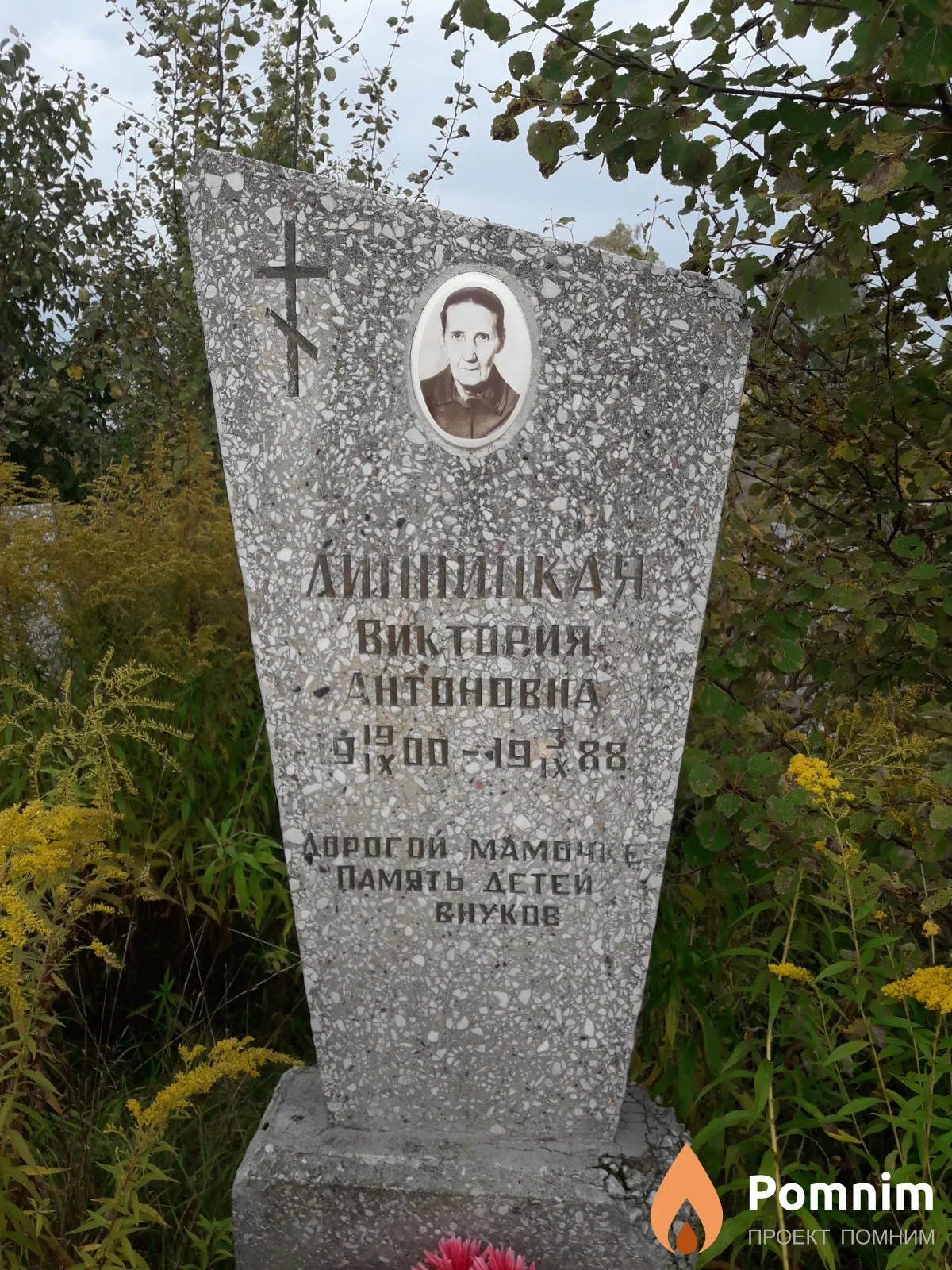 Липницкая Виктория Антоновна