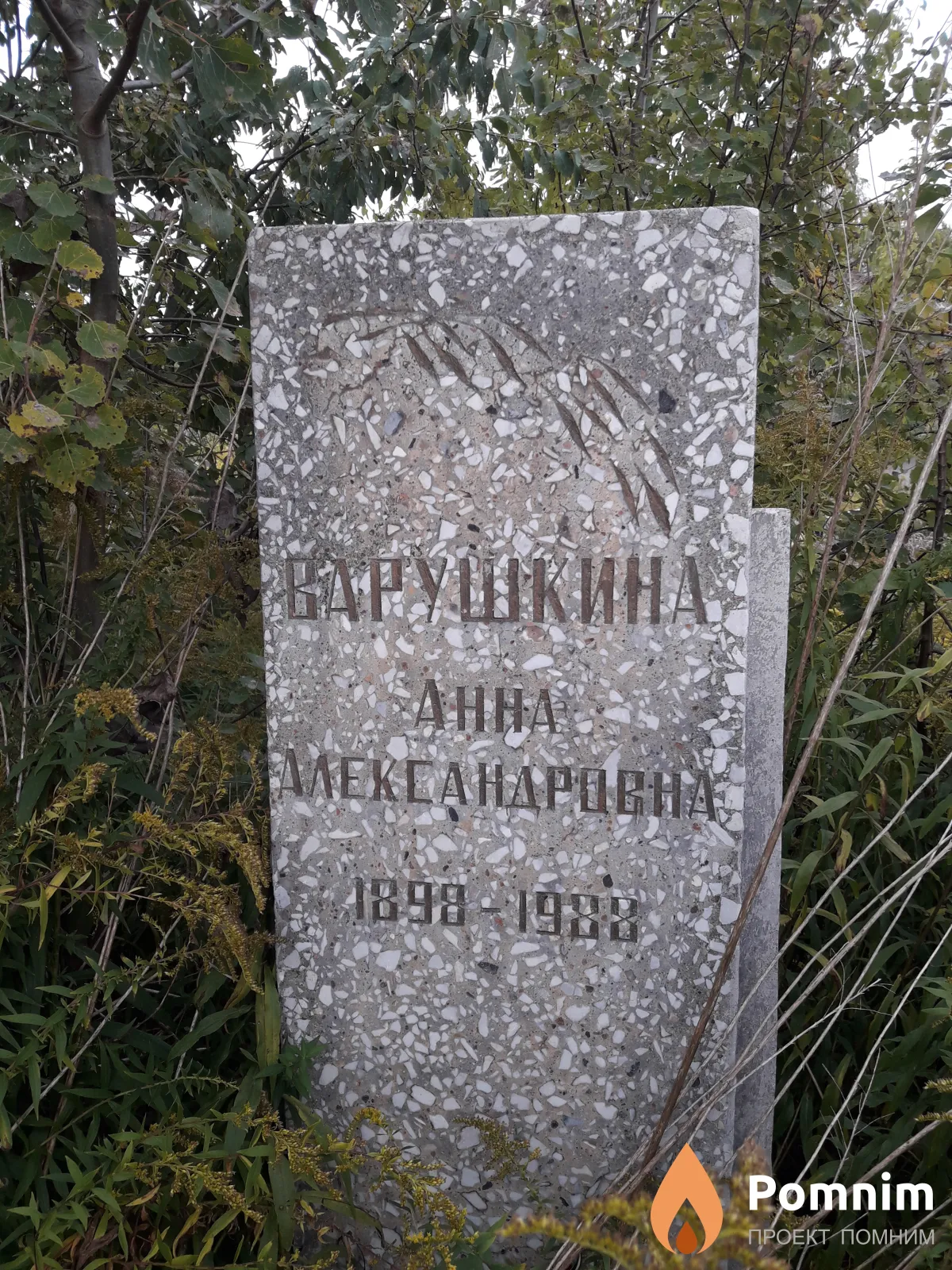 Варушкина Анна Александровна