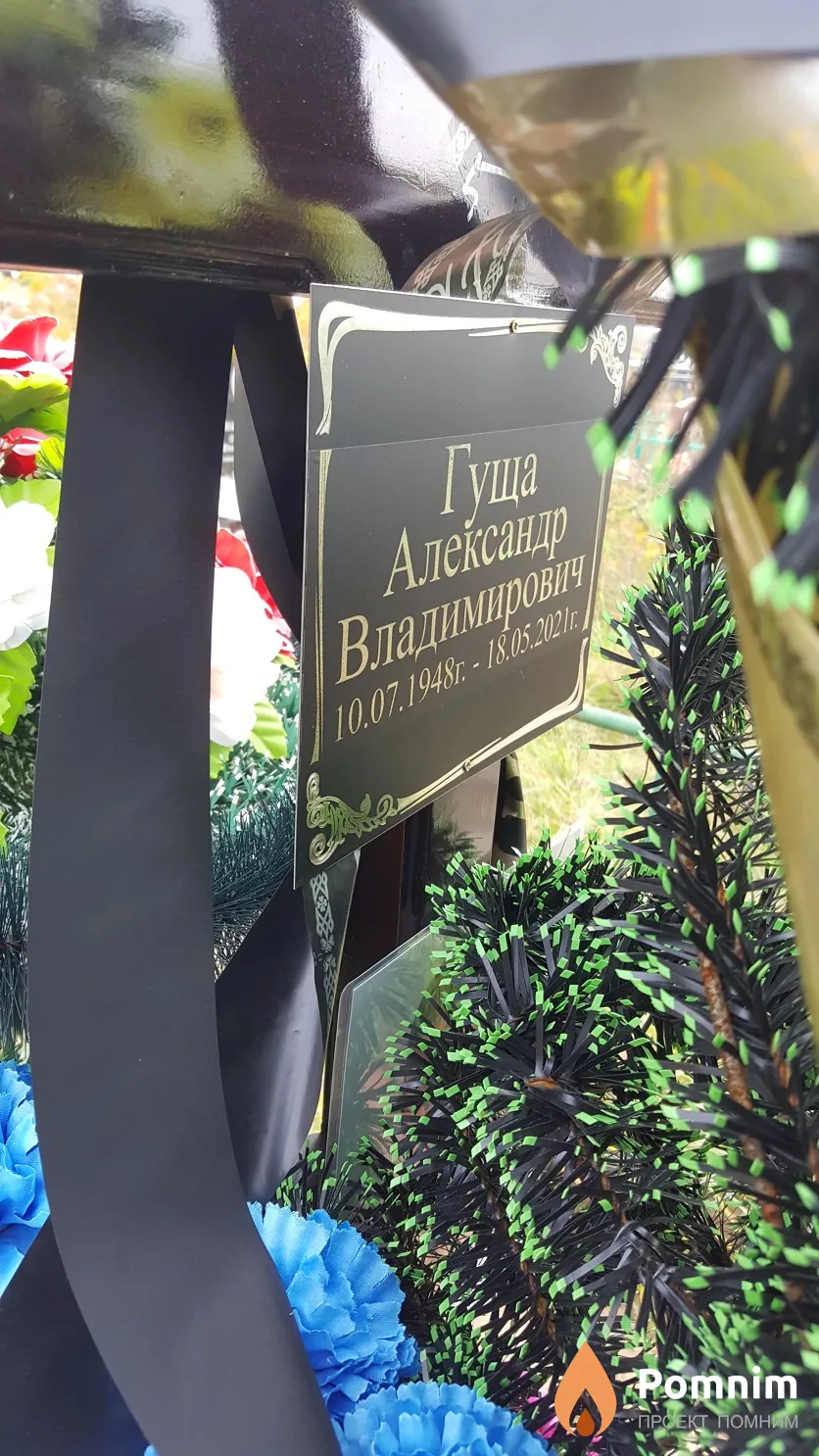Гуща Александр Владимирович