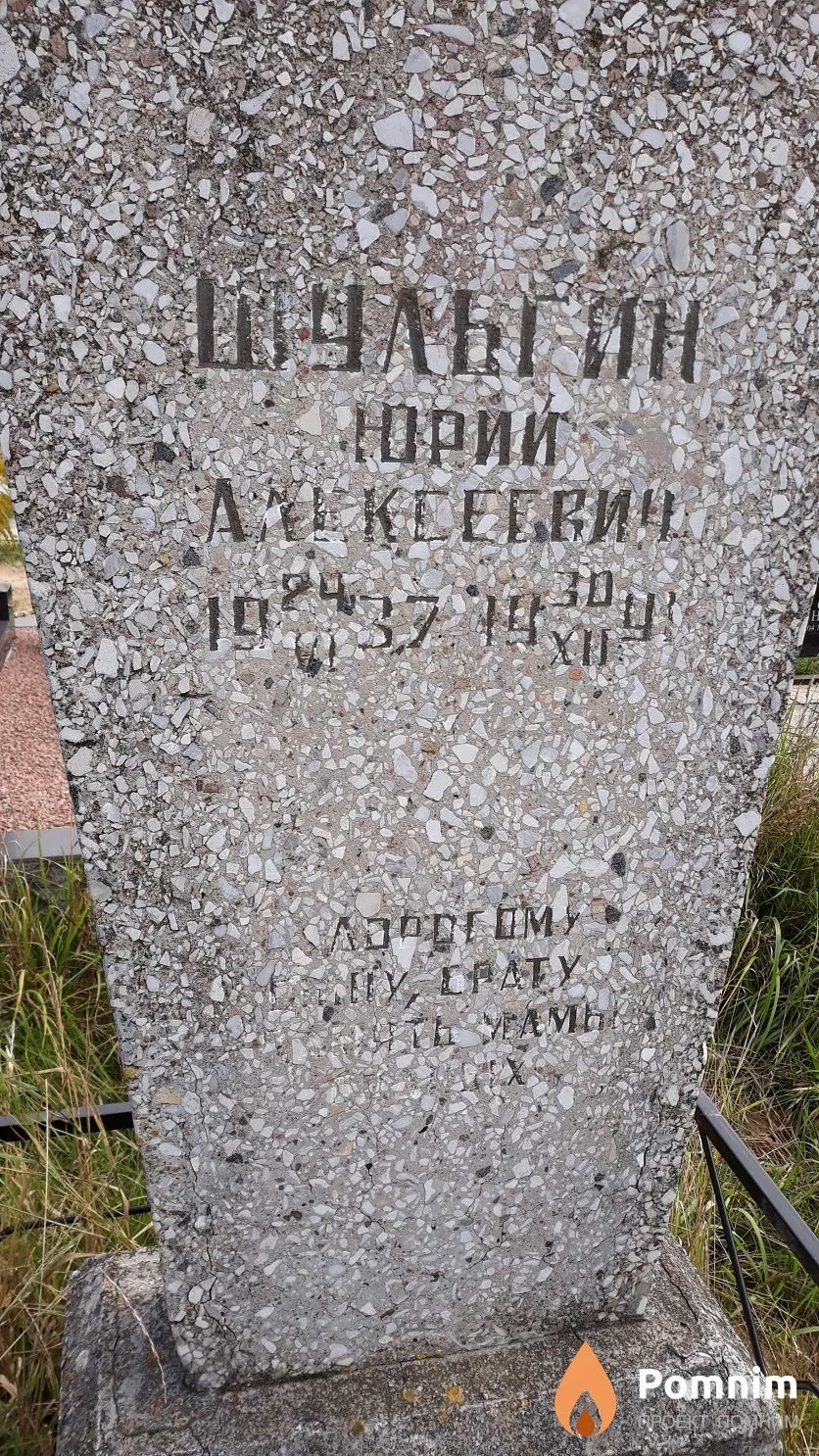 Шульгин Юрий Алексеевич