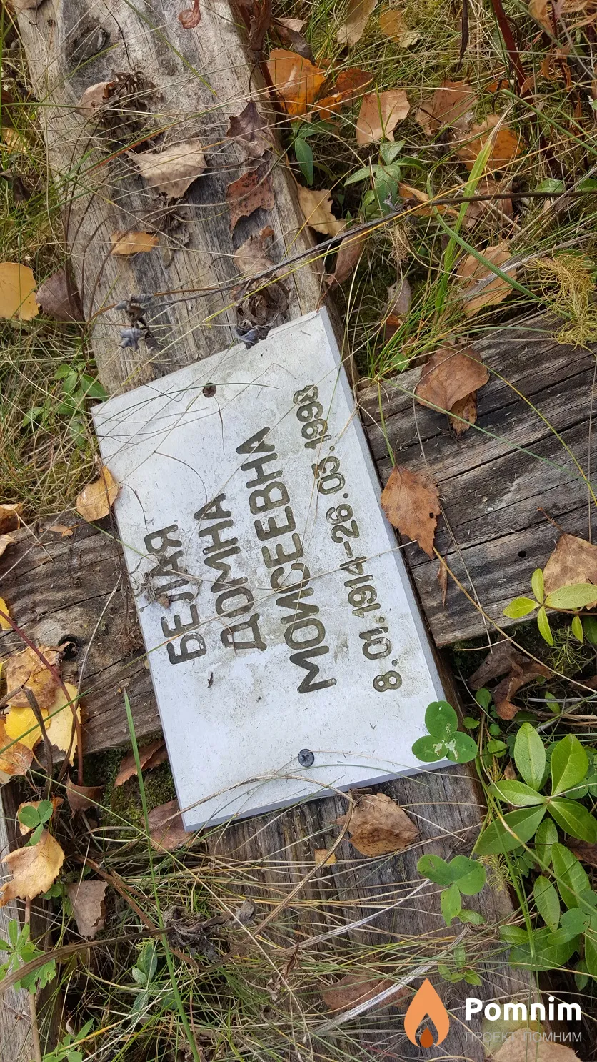 Белая Домна Моисеевна