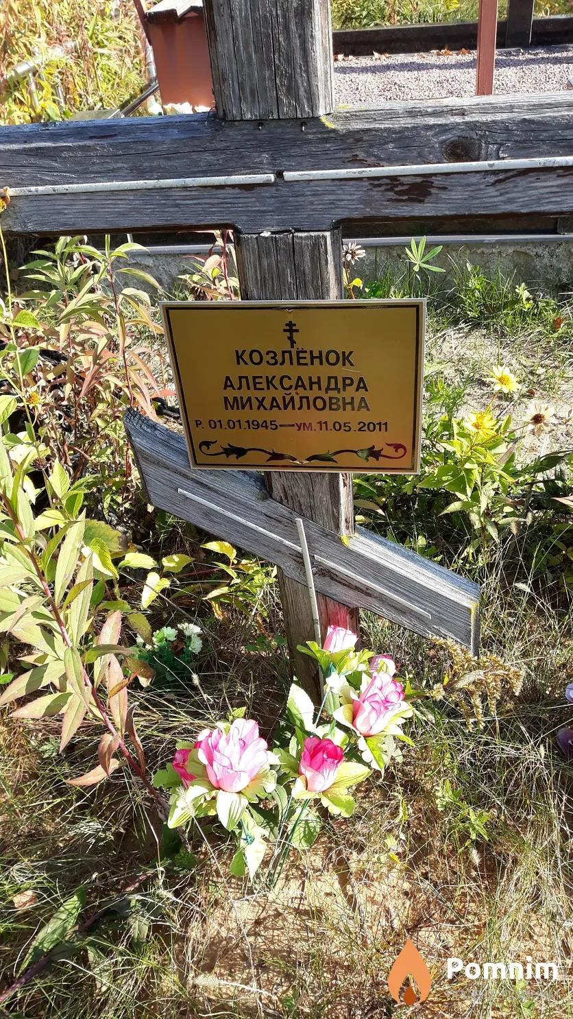 Козлёнок Александра Михайловна
