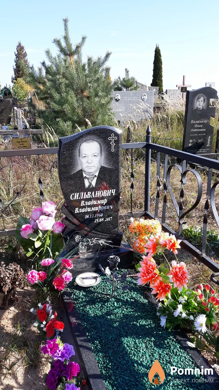 Сильванович Владимир Владимирович