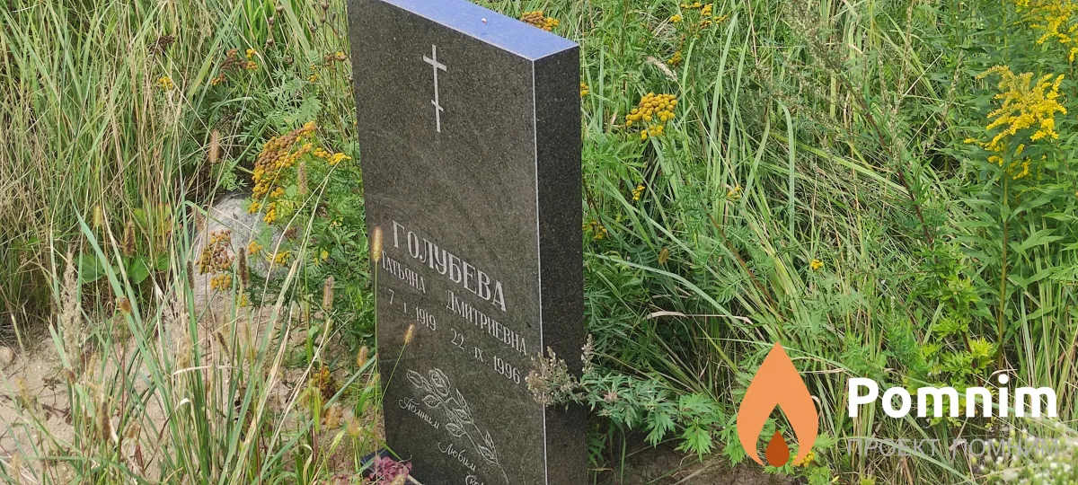 Голубева Татьяна Дмитриевна