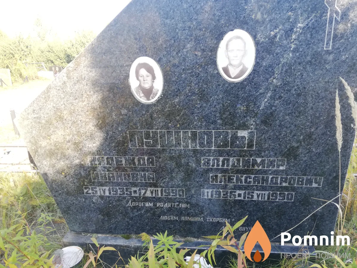 Пушнов Владимир Александрович