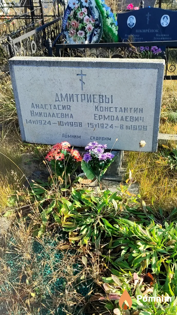 Дмитриева Анастасия Николаевна
