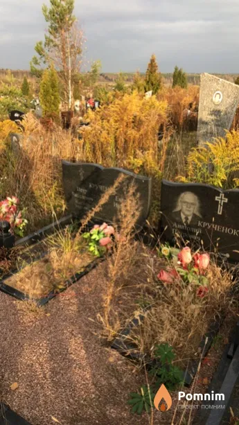 Крученок Анатолий Петрович