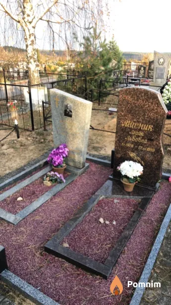 Мисник Майя Львовна