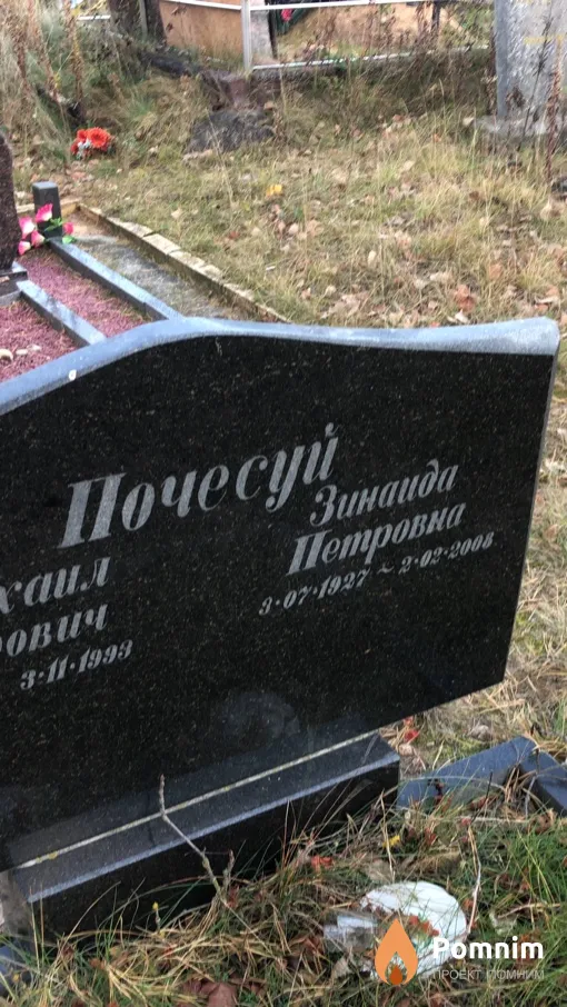 Почесуй Зинаида Петровна
