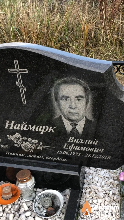 Наймарк Виллий Ефимович